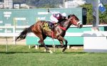 I Believe In Magic supera Mais Que Bonita na Copa ABCPCC Éguas – Gonçalo B. Torrealba