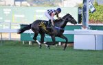 Oceano Azul, dominante no GP J.Adhemar de Almeida Prado (G1)