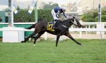 GP Margarida Polak Lara: Macadamia, de perdedora a campeã de G1