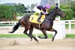 Galeria de Fotos – Confira os vencedores deste DOMINGO (13) no JCB