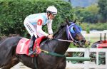 Galeria de Fotos – Confira os vencedores deste DOMINGO (20) no JCB