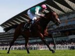 Ascot, World Pool e rateios integrais