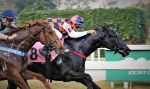 Galeria de Fotos – Confira os vencedores deste DOMINGO (04) no JCB