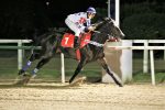 Dominante aos 7 anos, Efetivo Bull vence a P.E. Mossoró