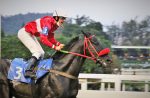 Galeria de Fotos – Confira os vencedores deste DOMINGO (18) no JCB