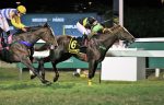 GP Presidente Vargas (G3): Caribean vence o trial da milha internacional