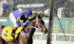 Uccellino Ribelle, um show na P.E. Clackson