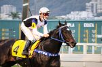 Galeria de Fotos – Confira os vencedores deste DOMINGO (25) no JCB