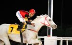 Galeria de Fotos – Confira os vencedores desta TERÇA (27)
