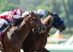 Reabertura de Saratoga, Haskell Stakes e Royal Ship movimentam a semana internacional