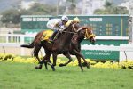 Adicionado bate Noblesse You nos 3 Km do GP ABCPCC (G3)