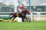 Dashing Court dá as ordens no GP Presidente República (G1)