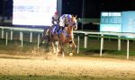 Galeria de Fotos – Confira os vencedores deste DOMINGO (15) no JCB