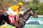 Galeria de Fotos – Confira os vencedores deste DOMINGO (22) no JCB