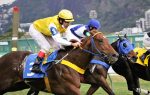 Galeria de Fotos – Confira os vencedores desta TERÇA (03)