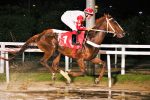 Galeria de Fotos – Confira os vencedores desta TERÇA (31)