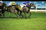 Uccellino Ribelle, a melhor na P.E. Be Fair