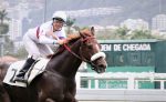 Em justa homenagem, Privilege vence com a farda do Haras Doce Vale