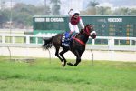 Casa Blanca conquista o GP Duque de Caxias (G2)