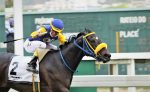 Invicta, Cherry Dollar impressiona no GP Adhemar e Roberto Gabizo de Faria (G3)