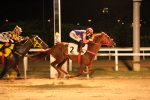 Galeria de Fotos – Confira os vencedores desta TERÇA (21) no JCB