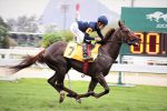 Galeria de Fotos – Confira os vencedores deste DOMINGO (05) no JCB