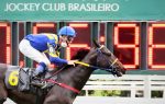Galeria de Fotos – Confira os vencedores deste DOMINGO (17) no JCB
