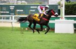 In Essence impõe sua classe para o bicampeonato do GP Costa Ferraz (G3)