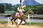 Galeria de Fotos – Confira os vencedores desta SEGUNDA (18) no JCB