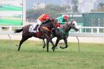Empate de Osprey e Mem Cade Ce no GP João Borges Filho (G2)