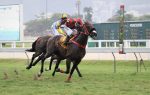 O bicampeonato de Olympic Jhonsnow no GP Gervásio Seabra (G2)