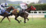 Galeria de Fotos – Confira os vencedores desta SEGUNDA (04) no JCB