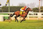 Pedigrees da semana: Planetário, Galilei Thunder, In Essence e Adicionado