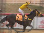 Hall Pass, o campeão do GP Bento Gonçalves (G2)