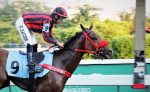 Galeria de Fotos – Confira os vencedores deste DOMINGO (28) no JCB