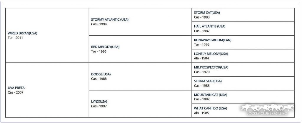 O atributo alt desta imagem está vazio. O nome do arquivo é JÓIA-NEGRA-1024x418.jpg