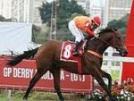 SP: Planetário, o herói do Derby Paulista. Olinda do Iguassu, a Rainha do Diana