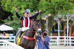 Pedigrees da semana: Olympic Impact, Ice Chocolat e Just Like