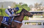 Pedigrees da Semana: Jelly Bean e Nepal