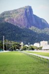G2 para fêmeas é atração da semana na Gávea