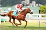 Pedigree da semana: DRAGSTER