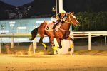 Galeria de Fotos – Confira os vencedores desta SEGUNDA (27) no JCB