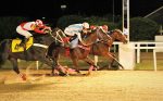 Clássico Itajara (L.): Em seu batismo nobre, Zanda resiste a Il Campione