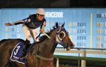 Kopenhagen, um galope de saúde no GP Professor Nova Monteiro (G3)