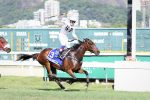 GP Marciano de Aguiar Moreira (G2): The Sister segue dominante entre as fêmeas