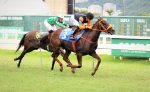 Galeria de Fotos – Confira os vencedores deste DOMINGO (12) no JCB