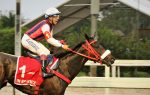 Melhor velocista do país, In Essence domina o GP Cordeiro da Graça (G2)