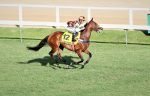 Na desclassificação de Just Like, vitória de La Louviere no GP Mariano Procópio (G3)
