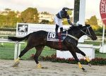 Tarumã: Cyrus Storm e Oriana do Iguassu, os heróis da Pegasus 2021