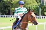 Cinco vitórias como presente para o líder Leandro Henrique